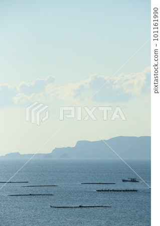 Oyster rafts line Harimanada's morning view from Murotsu, Mitsucho, Tatsuno City, Hyogo Prefecture 101161990
