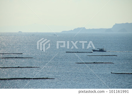 兵庫縣辰野市三町室津市牡蠣排成一排的播磨灘晨景 101161991