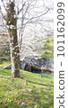 Lake Biwa canal 101162099