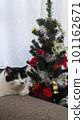 Christmas tree and cat 101162671