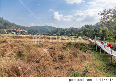 Tourist walking on the Buddha bamboo bridge or Boon Ko Ku So stretches 800 meter long split-bamboo walkway across rice fields and up to a small temple. 101163217