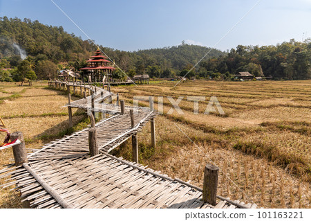 Pai Buddha bamboo bridge or Boon Ko Ku So stretches 800 meter long split-bamboo walkway across rice fields and up to a small temple. 101163221