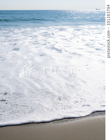 The beach at Koijigahama (Tahara City, Aichi Prefecture). 101163784