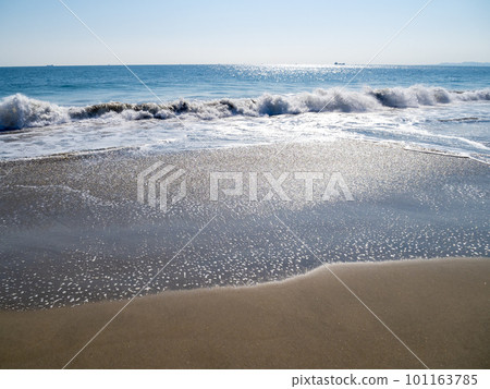 The beach at Koijigahama (Tahara City, Aichi Prefecture). 101163785