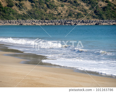 小井濱（愛知縣田原市）。 101163786