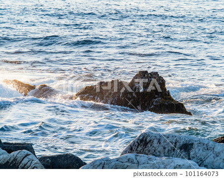 清晨從千葉縣南房總市海岸看到的清爽太平洋 101164073