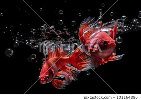 Red fighting fishes. Underwater animals. Generate Ai 101164886