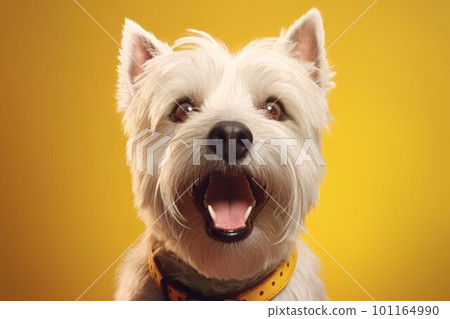 Smiling puppy dog. Pet smile face. Generate Ai 101164990