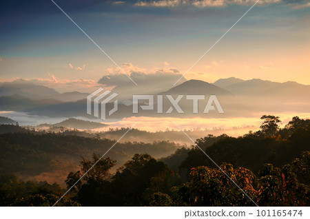 Sunrise over Doi Luang Chiang Dao mountain and foggy flowing on hill in national park 101165474
