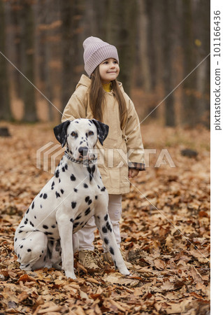 girl with a Dalmatian dog in the forest 101166436