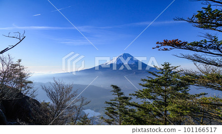(Yamanashi Prefecture) Superb view of blue sky and Mt. 101166517