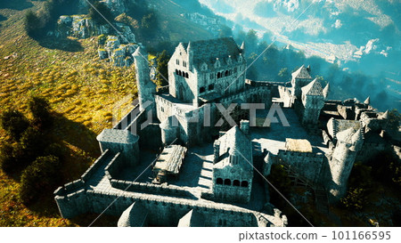 Beautiful drone view of the old castle with park on the hill Beautiful drone view of the old castle with park on the hill 101166595