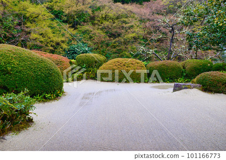 京都 Ame no Shisendo 濕潤美麗的日本庭園 京都 Ame no Shisendo 濕潤美麗的日本庭園 101166773