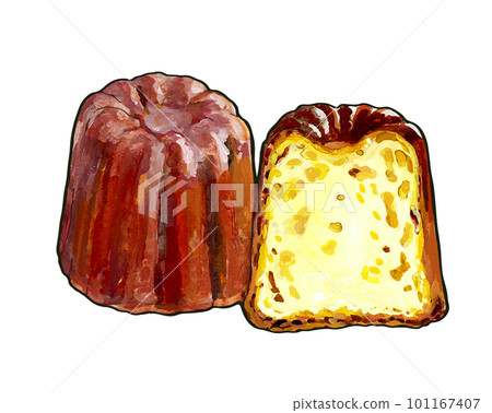 Watercolor style realistic and delicious canelé 101167407
