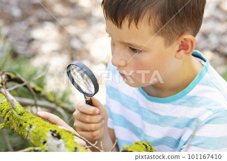 Curious boy is exploring nature with magnifying glass outdoors Curious boy is exploring nature with magnifying glass outdoors 101167410