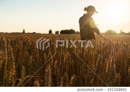Woman farmer with tablet Woman farmer with tablet 101168601