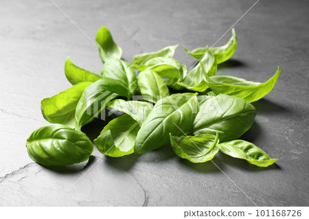 Pile of fresh basil leaves on grey table Pile of fresh basil leaves on grey table 101168726