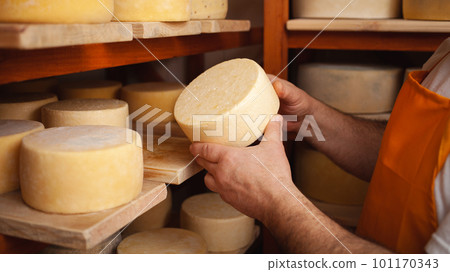 man cheesemaker in the cellar, beautiful wooden shelves with a ready cheese circle, ripening. Cheese production, home basement, indoor. Private entrepreneur. holds in his hands 101170343