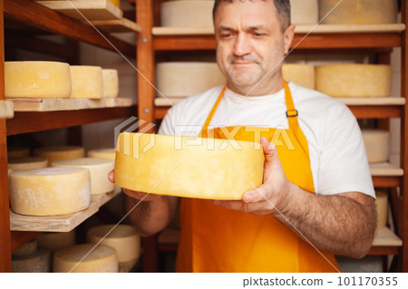 Portrait of cheesemaker in cellar, basement. Home cheese production, business, entrepreneur. Indoors, wooden shelves. Holds a circle in his hands Portrait of cheesemaker in cellar, basement. Home cheese production, business, entrepreneur. Indoors, wooden shelves. Holds a circle in his hands 101170355