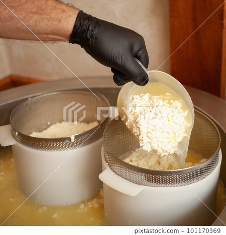 Cheese production from milk, home business, food, eco-friendly and tasty products. Serum in vat. process 101170369