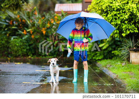 Kids in puddle in autumn rain. Waterproof wear Kids in puddle in autumn rain. Waterproof wear 101170711