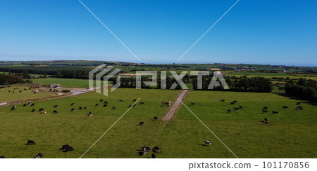 Picturesque farm fields of the south of Ireland under a blue sky on a sunny summer day. Animals in the pasture. Agricultural landscape. Livestock lands, top view. Green grass field under blue sky 101170856