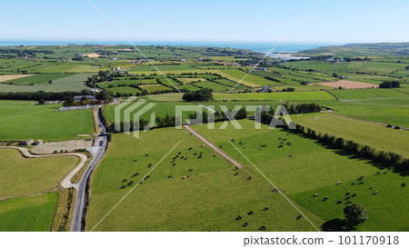 Picturesque fields of Ireland under a blue sky on a sunny summer day. Animals in the pasture. Agricultural landscape. Livestock lands, top view. Green grass field under blue sky Picturesque fields of Ireland under a blue sky on a sunny summer day. Animals in the pasture. Agricultural landscape. Livestock lands, top view. Green grass field under blue sky 101170918