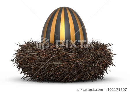 Golden and black Easter egg in bird nest isolated on white background. 101171507