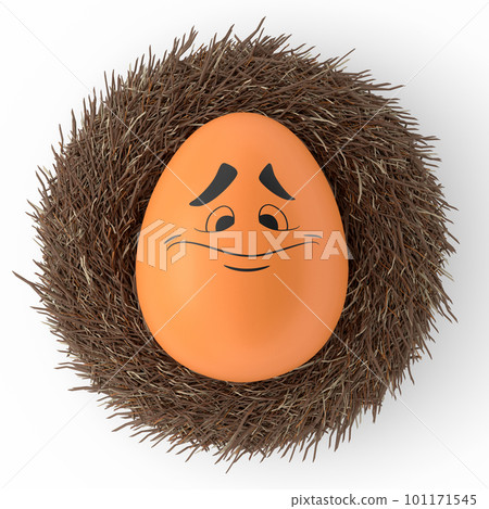 Farm brown painted egg with expressions and funny face in bird nest 101171545