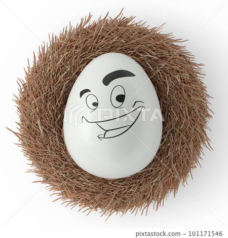 Farm white painted egg with expressions and funny face in bird nest 101171546