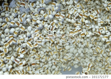 Close Up Steamed Job's Tears 101172177