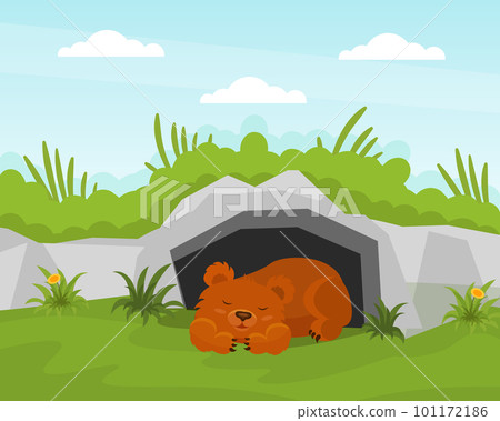 Bear Cub Sleeping at Burrow in the Forest Vector Illustration 101172186