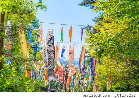 [Early summer material] Carp streamers swimming in the sky [Nagano] 101172252