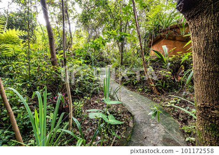 Lovely garden of a guesthouse at Mucuge in the Chapada Diamantina National Park, Bahia, Brazil 101172558