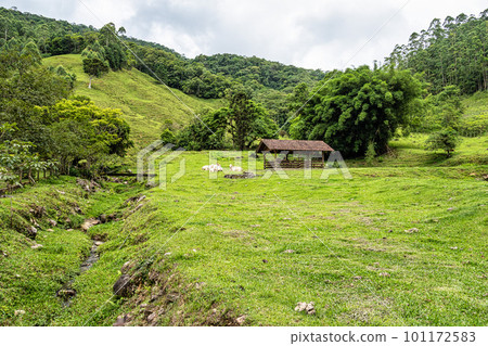 Green fields and meadows in the countryside of Pomerode, Santa Catarina in Brazil 101172583