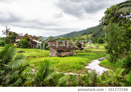 Green fields and meadows in the countryside of Pomerode, Santa Catarina in Brazil Green fields and meadows in the countryside of Pomerode, Santa Catarina in Brazil 101172586
