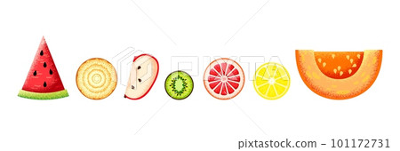 Fruits and vegetables slices, textured fruit. Fresh harvest food elements, vegetable pumpkin and onion. Isolated cut apple lemon watermelon vector set 101172731