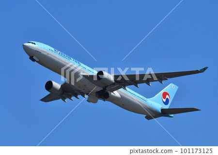 大韓航空客機 A330-300 101173125