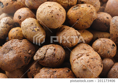 Expanded clay. small lumps of clay used in construction and for growing plants. 101173406