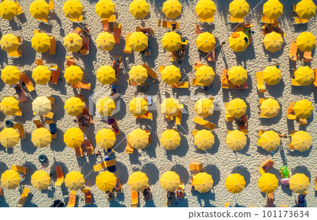 Aerial view of yellow umbrellas on sandy beach in summer Aerial view of yellow umbrellas on sandy beach in summer 101173634