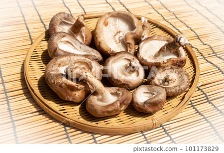 Sun-dried shiitake mushrooms, dried shiitake mushrooms to improve nutrients, dried shiitake mushrooms 101173829