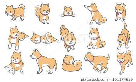 Vector illustration of Shiba Inu set 101174659