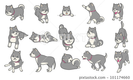 Vector illustration of black shiba set 101174660