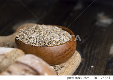 Rye grain for making flour and bread 101174861