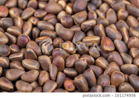 a bunch of pine nuts in the shell a bunch of pine nuts in the shell 101174956