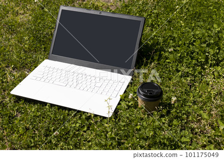 Laptop and meadow. Image of teleworking outside Laptop and meadow. Image of teleworking outside 101175049