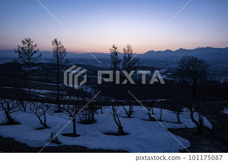 黎明時分的十勝岳 101175087