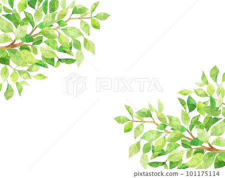 An illustration inspired by fresh green in a watercolor style An illustration inspired by fresh green in a watercolor style 101175114