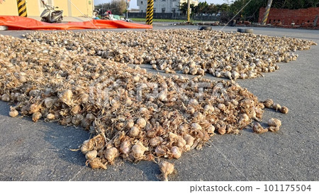 Coastal farming villages in Taiwan Coastal farming villages in Taiwan 101175504