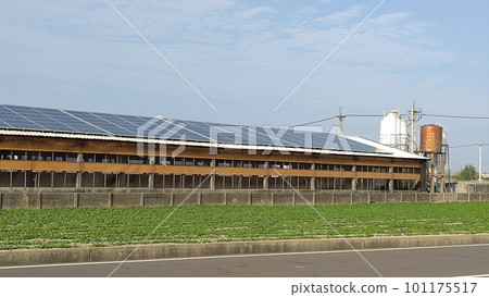 台灣沿海村莊,在村民使用的涼亭屋頂安裝太陽能電池板,增加綠色能源收入 台灣沿海村莊,在村民使用的涼亭屋頂安裝太陽能電池板,增加綠色能源收入 101175517